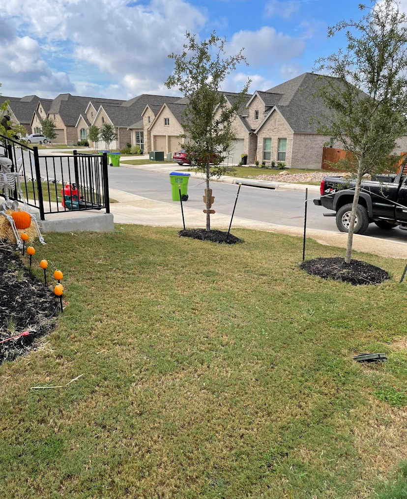 Freshly maintained lawn in a North Texas neighborhood