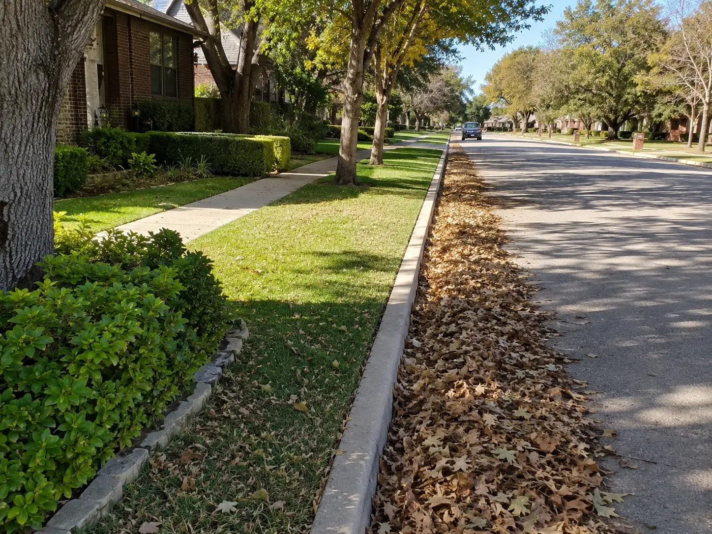 Fall leaves cleared from a suburban curb and lawn