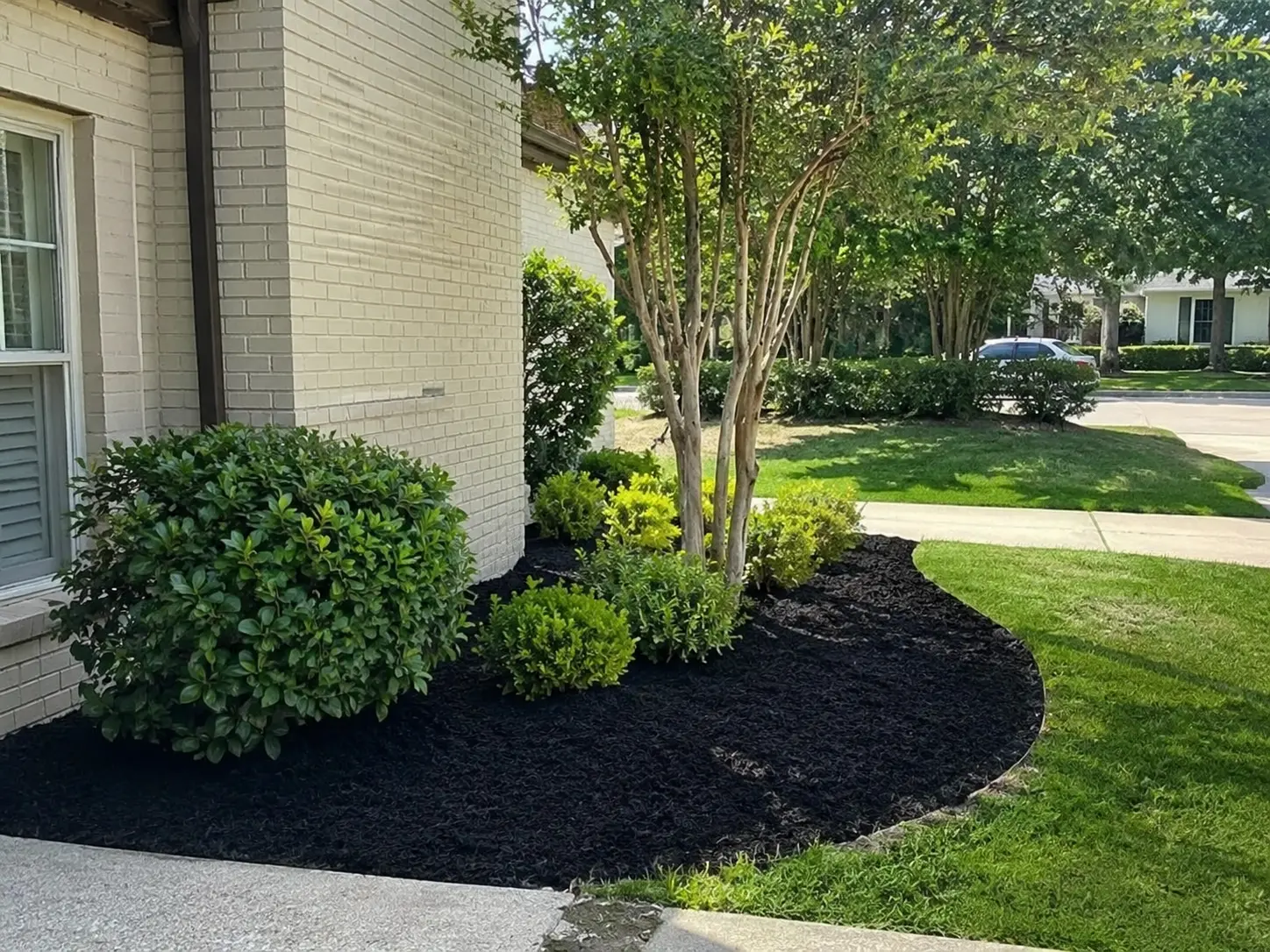 Fresh black mulch bed with shrubs along a North Texas home